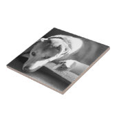 Dog en Guinee Tegeltje (Zijkant)