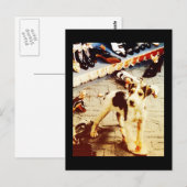 Dog en Shoes Briefkaart (Voorkant / Achterkant)