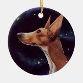 Dog en Stars Art Night Sky Keramisch Ornament