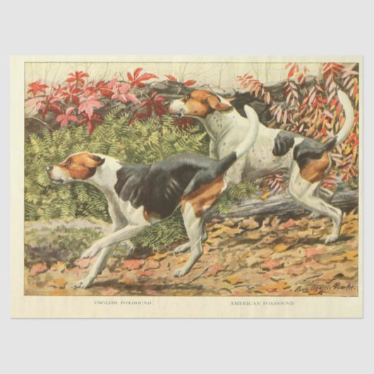 Dog Ephemera Decoupage Engelse Foxhounds Tissuepapier (Voorkant)