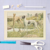 Dog Ephemera Decoupage Grey Hounds Tissuepapier (Craft)