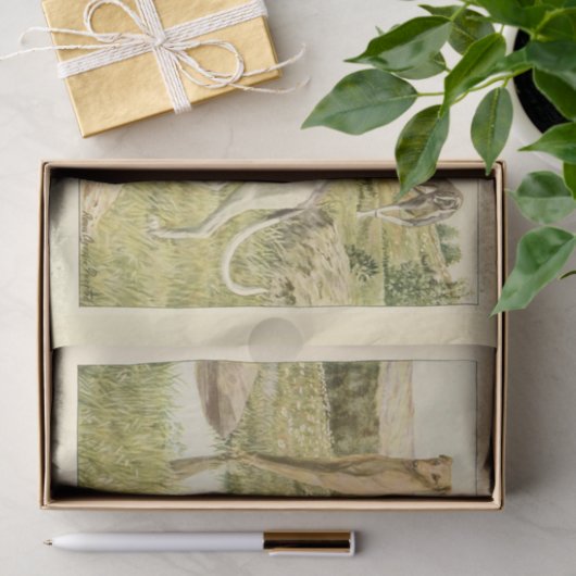  Dog Ephemera Decoupage Grey Hounds Tissuepapier (Geschenk)