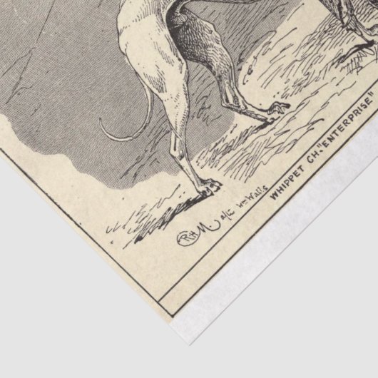 Dog Ephemera Decoupage Whippet Tissuepapier (Detail)