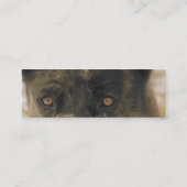 Dog Eyes Mini Visitekaartje (Achterkant)