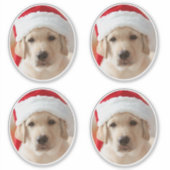 Dog Face Photo Custom Cut out Sticker (Voorkant)