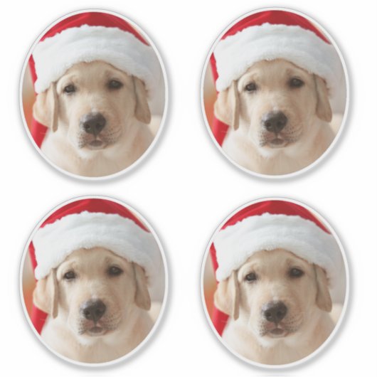 Dog Face Photo Custom Cut out Sticker (Voorkant)