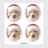 Dog Face Photo Custom Cut out Sticker (Vel)