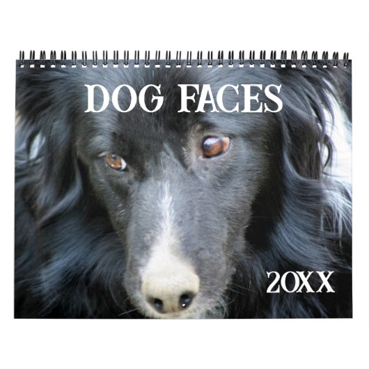 Dog Faces And Expressions Kalender (Hoes)