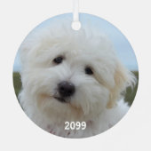 Dog FIRST CHRISTMAS 2-Sided 2-foto Metalen Ornament (Achterkant)