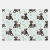 Dog Floral Great Dane Pattern, Dog Fan Gift Inpakpapier Vel (Voorkant)