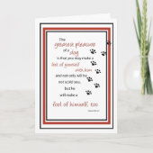 Dog Fool Birthday, Humor Kaart (Voorkant)