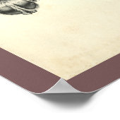 Dog Foot Paw Veterinary Anatomy Print (Hoek)