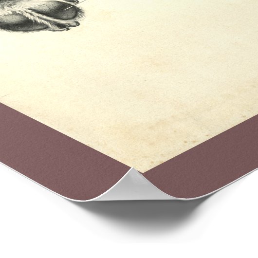 Dog Foot Paw Veterinary Anatomy Print (Hoek)