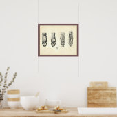 Dog Foot Paw Veterinary Anatomy Print (Keuken)