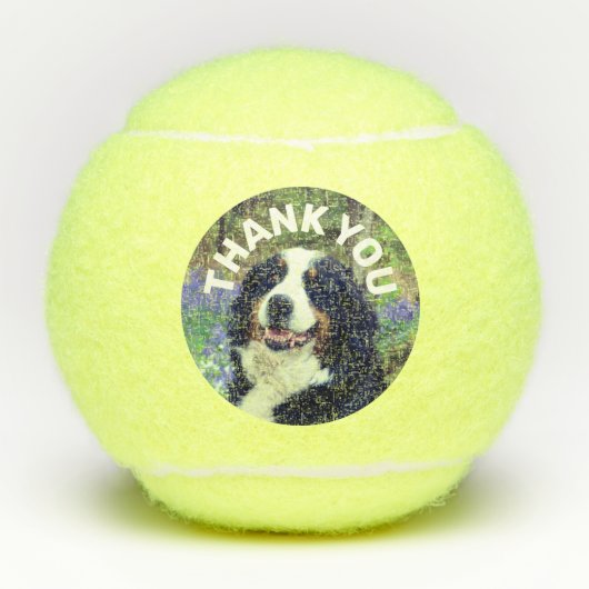 Dog Foto Birthday Favor Dank u persoonlijk Tennisballen (Voorkant)