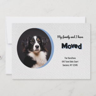 Dog Foto Moving Announcement Aankondiging