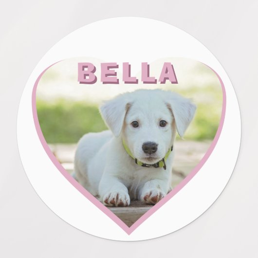 Dog Foto Naam Roze Heart Pet Labels (Design 1)