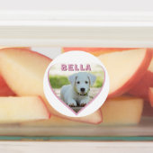 Dog Foto Naam Roze Heart Pet Labels (Aangebracht)
