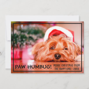 Dog Foto Paw Humbug Pet Kerstmis Feestdagenkaart