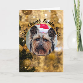 Dog Foto personaliseert naam kerstfeestdag kaart