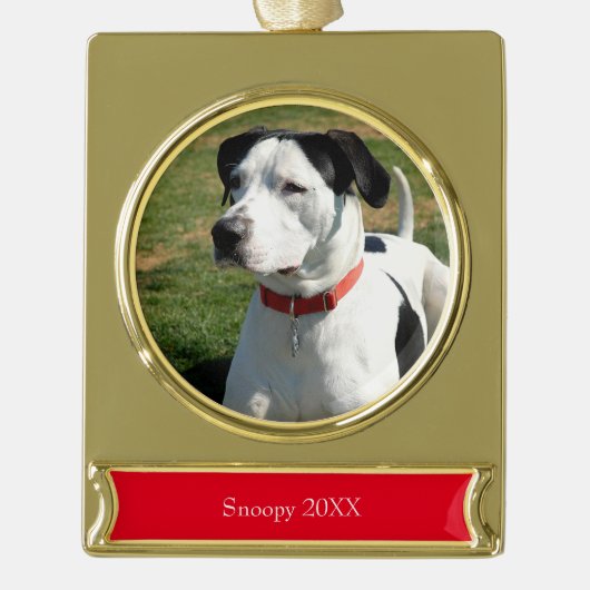 Dog Foto Rood Naam Eenvoudig kerstfeest Verguld Banner Ornament (Voorkant)