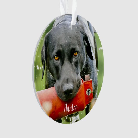 Dog Foto Sympathia Quote Marble Pet Memorial Ornament (voorkant)