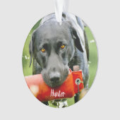 Dog Foto Sympathia Quote Marble Pet Memorial Ornament (voorkant)