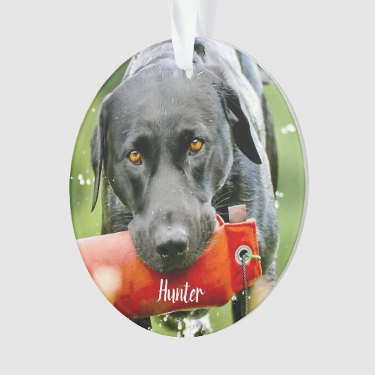 Dog Foto Sympathia Quote Marble Pet Memorial Ornament (voorkant)