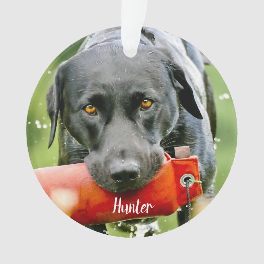 Dog Foto Sympathia Quote Marble Pet Memorial Ornament (voorkant)