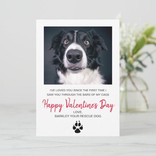 Dog Foto Valentijnsdag van de hond Feestdagenkaart (Staand voorkant)