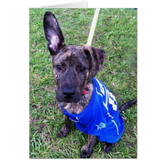 Dog-fotokaart - Zero