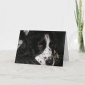 Dog-foto's met een poosje bekijken kaart (Voorkant)