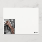 Dog Friendly Saloon Tavern Bar 1900 Foto Briefkaart (Achterkant)