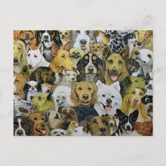 Dog Friends Briefkaart (Voorkant)