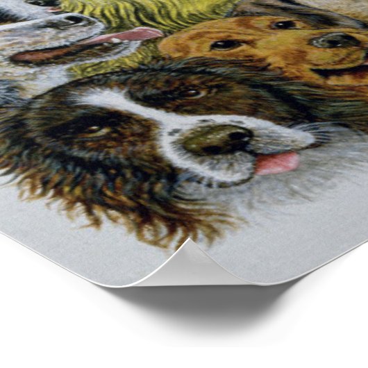 Dog Friends Poster (Hoek)