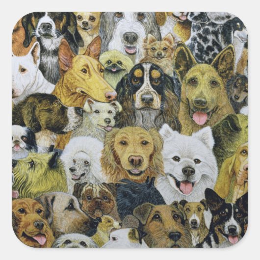 Dog Friends Vierkante Sticker (Voorkant)