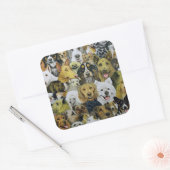 Dog Friends Vierkante Sticker (Envelop)
