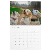 Dog Friends Wall Calendar 2026 Animals Kalender (Mar 2026)