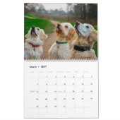 Dog Friends Wall Calendar 2026 Animals Kalender (Mar 2027)