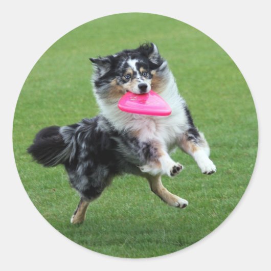 Dog Frisbee Ronde Sticker (Voorkant)