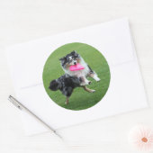 Dog Frisbee Ronde Sticker (Envelop)