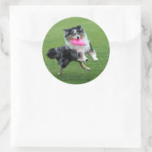 Dog Frisbee Ronde Sticker (Tas)