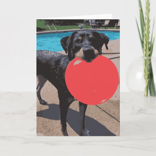 Dog Frisbee Swimming Pool Kaart (Voorkant)