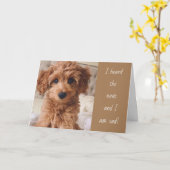 DOG GAAT ERNSTIG OVER JE VERPLAATSEN! KAART (Gele Bloem)