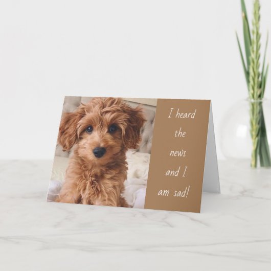 DOG GAAT ERNSTIG OVER JE VERPLAATSEN! KAART (Voorkant)