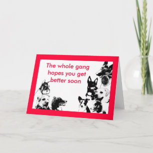 Dog gang ... beter snel kaart
