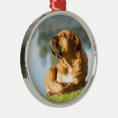 Dog geniet van de ochtendzon metalen ornament (Rechts)