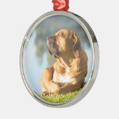 Dog geniet van de ochtendzon metalen ornament (Links)