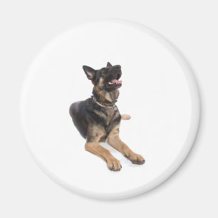 dog - german shepherd magneet