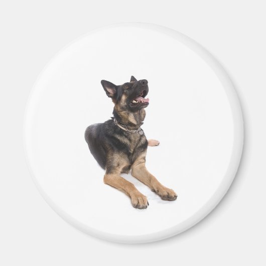 dog - german shepherd magneet (Voorkant)